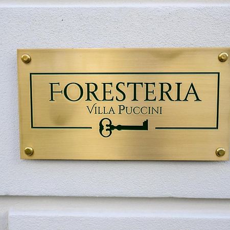Foresteria Villa Puccini Casa Per Ferie Torre del Lago Puccini Εξωτερικό φωτογραφία
